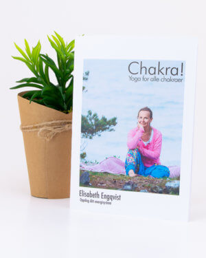Yoga for alle chakra - av elisabeth engqvist - mediyoga