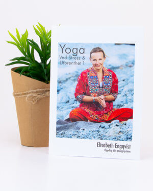 Yoga for stress og utmattelse / utbrenthet med Elisabeth Nyqvist - Mediyoga