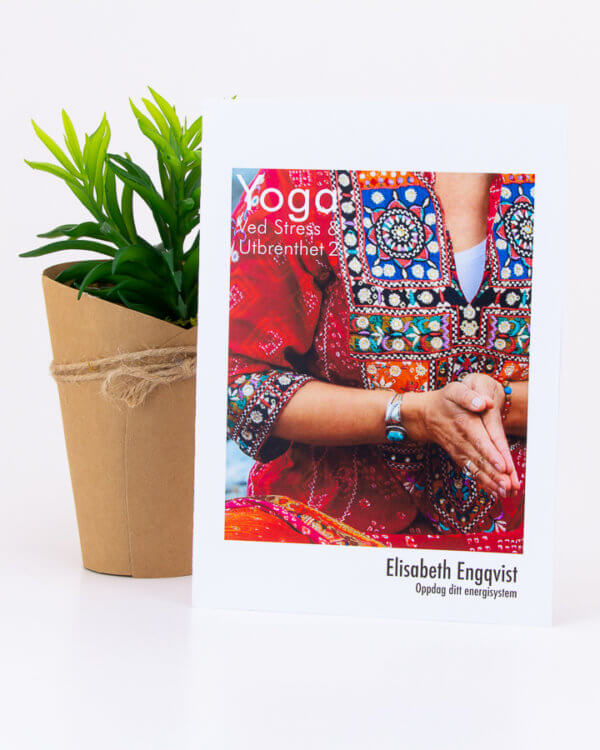 Yoga for stress og utmattelse / utbrenthet med Elisabeth Nyqvist - Mediyoga - nr 2