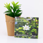 19-0001 – Ramtitam yoga cd